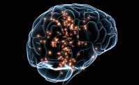 آیا تحریک مغزی منجر به درمان اوتیسم می شود؟