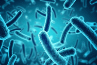 مهندسی یک باکتری برای درمان یبوست